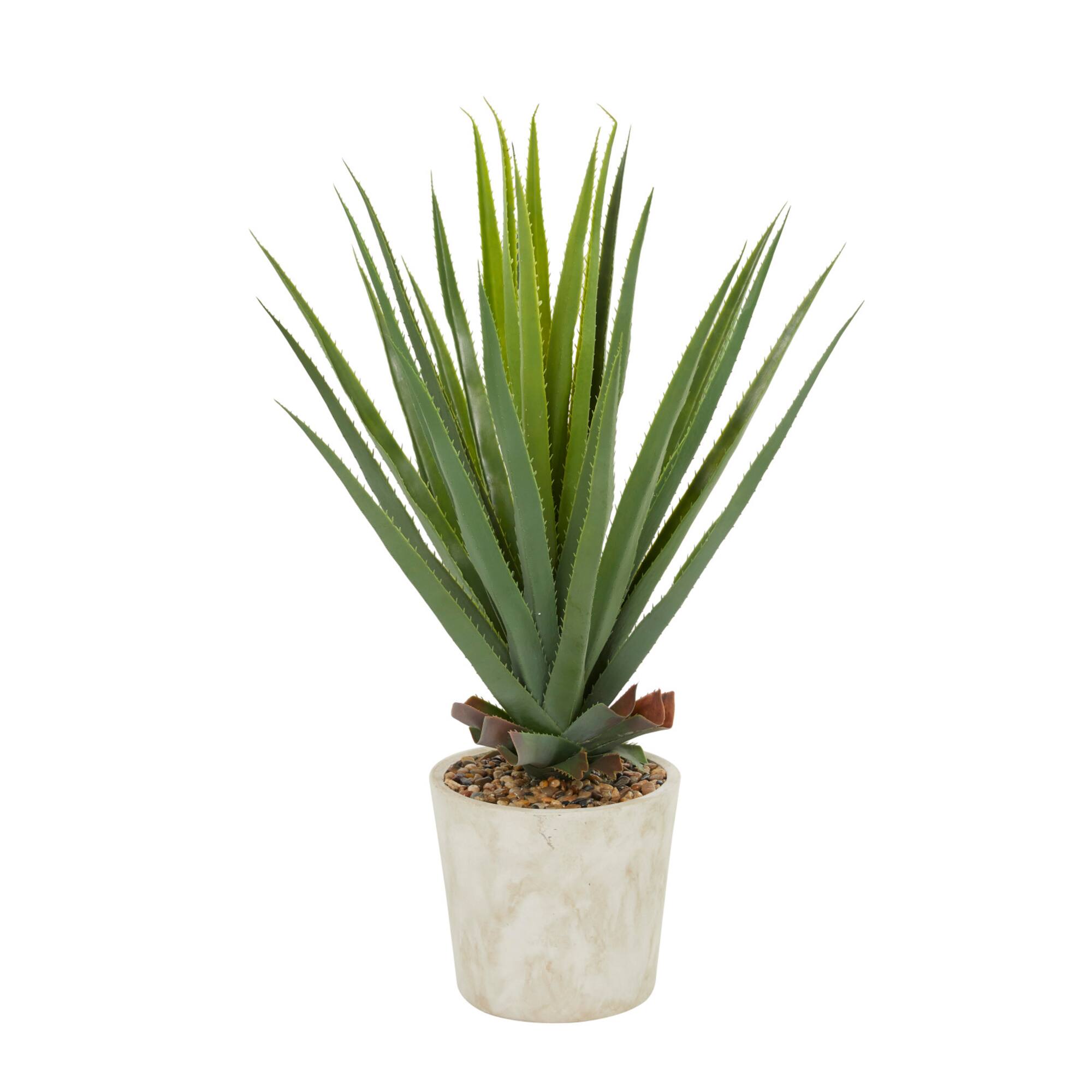3ft. Potted Contemporary Aloe Artificial Foliage